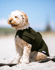 Mr Soft Top Wool Blend Walking Coat - Moss Green