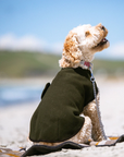 Mr Soft Top Wool Blend Walking Coat - Moss Green