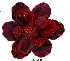 Alison's Acquisitions Heirloom Burgundy Magnolia 21cm