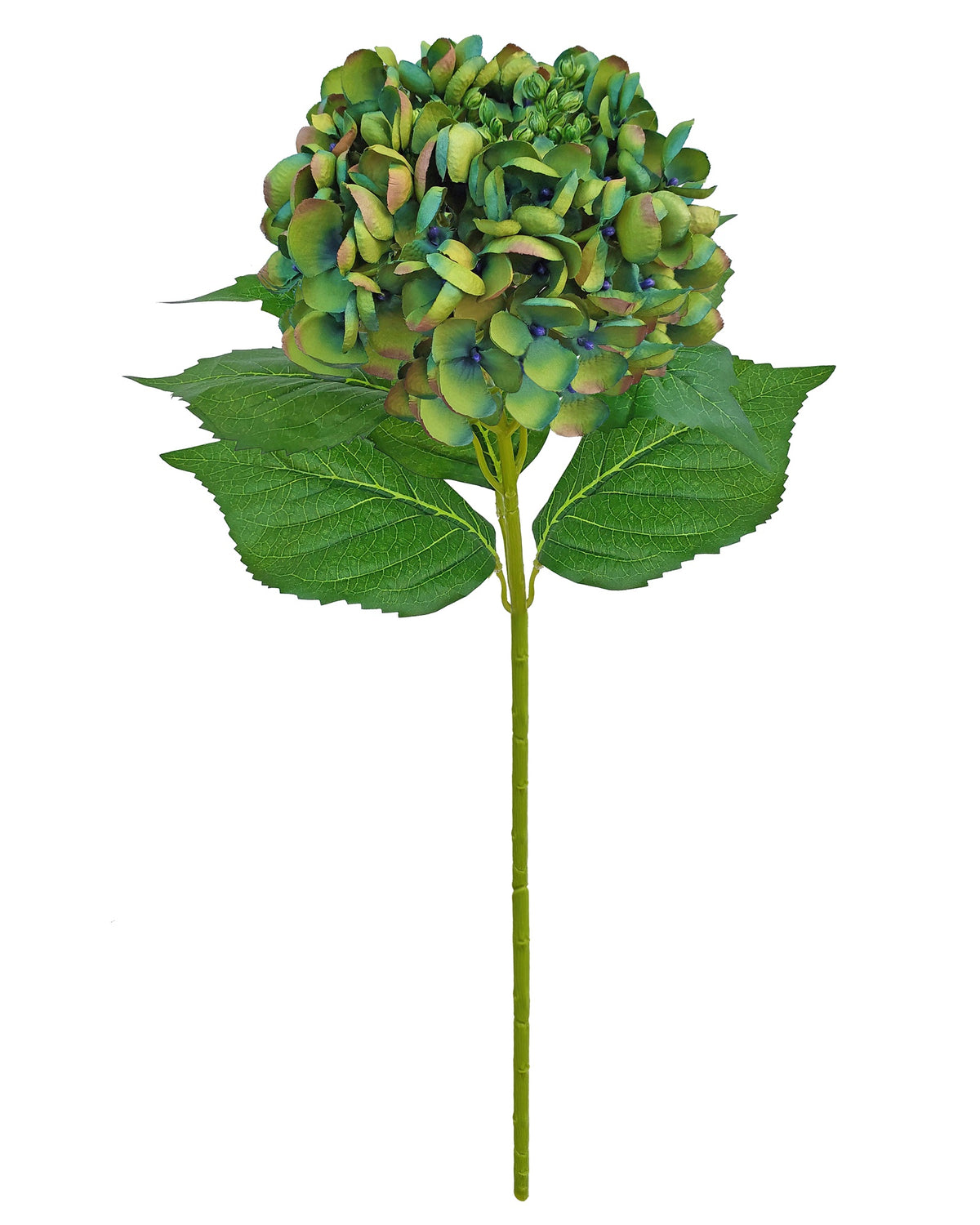 Alison's Acquisitions Large Budding Hydrangea - Moss Green