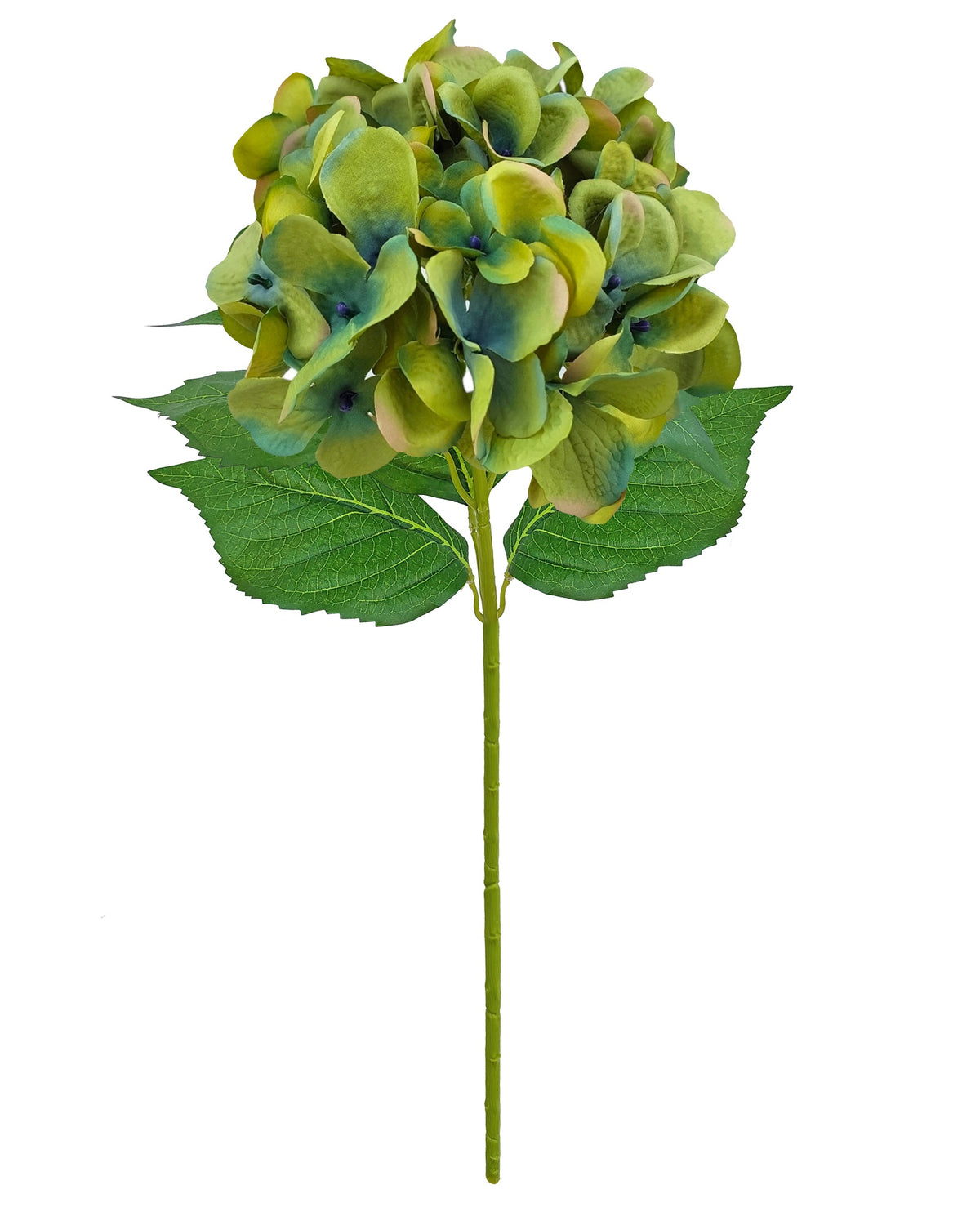 Alison's Acquisitions Water Stem Hydrangea - Moss Green